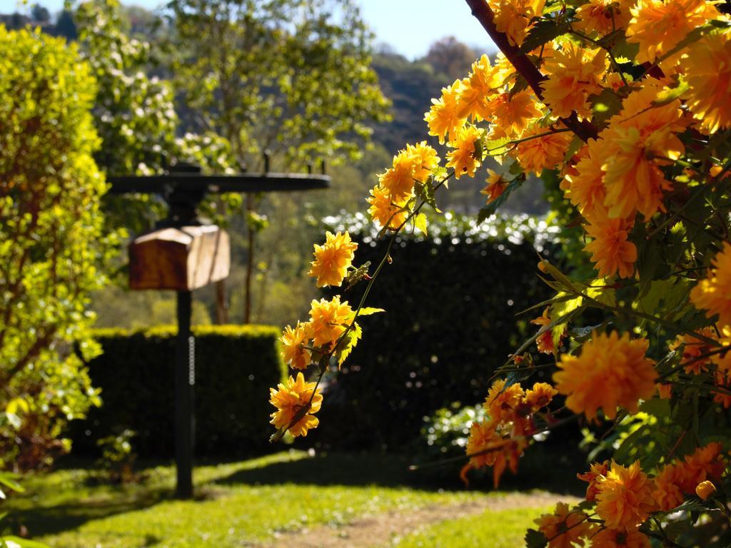 Ermitage Saint Vincent B&B Vieille-Brioude Εξωτερικό φωτογραφία